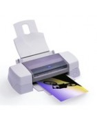 Cartouche pour imprimante Epson Stylus Photo 1290 | Rue Du Toner